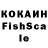 Cocaine Fish Scale Emine Yilmaz