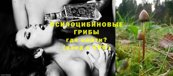 СК Куйбышев