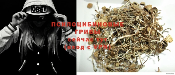 прущие крисы Краснотурьинск