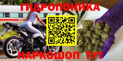 дурь Анжеро-Судженск