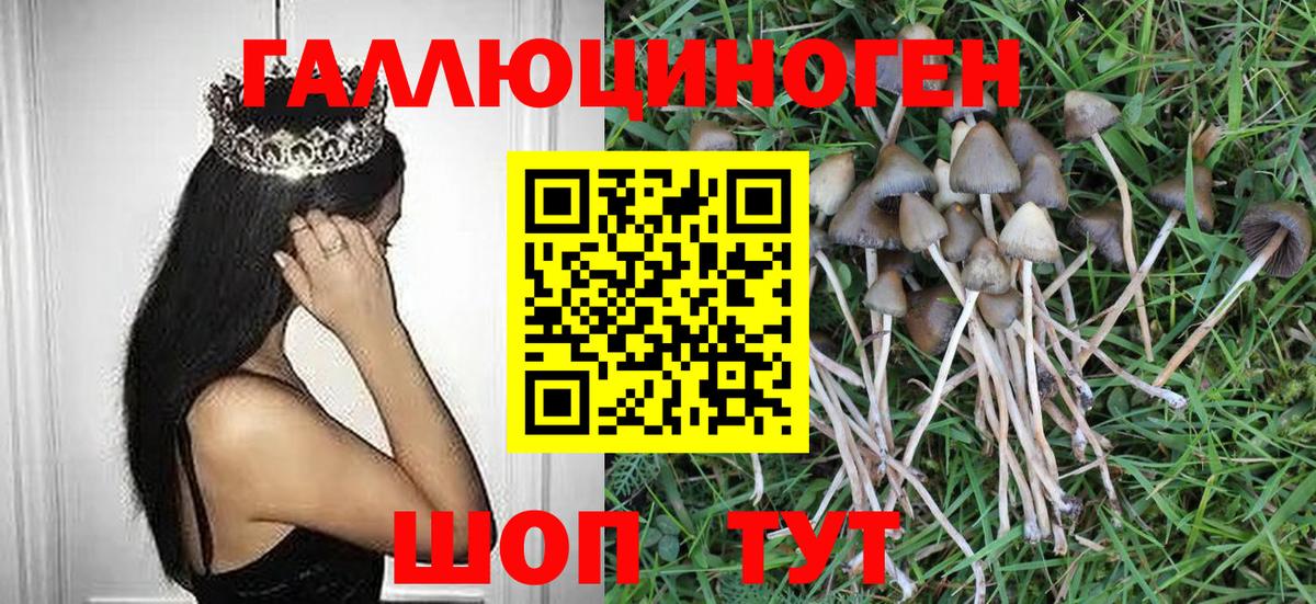 Псилоцибиновые грибы ЛСД  Вход с VPN  Киржач 